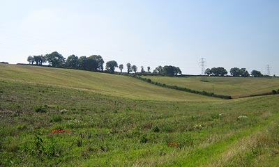 basingstoke land