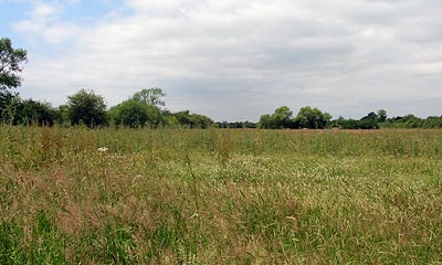 countryside