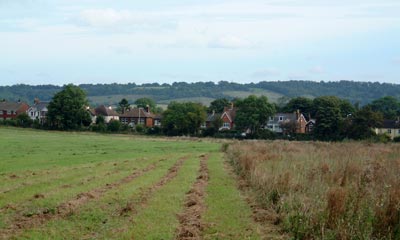 green field