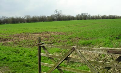 Land in Scotland