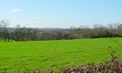 self build land for sale